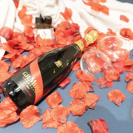 Les D Ailleurs Apartman Nizza