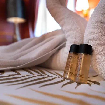 Les D Ailleurs Appartement Nice