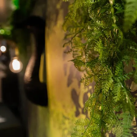 Les D Ailleurs Appartement *